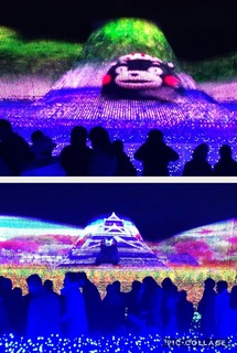 Collage202017-12-292019_14_06-597f4.jpg